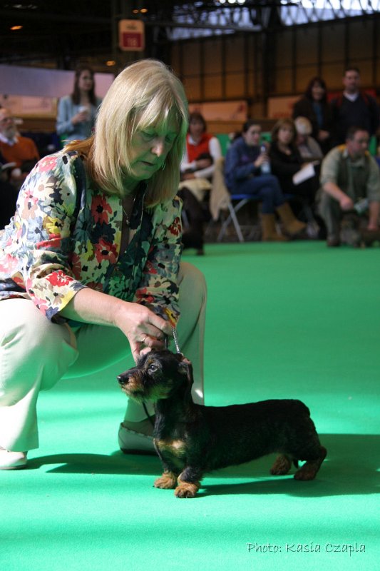 Crufts2010 671.jpg